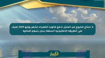 لا تحتاج للخروج من المنزل لدفع فاتورة الكهرباء لشهر يوليو 2025 تعرف على الطريقة الإلكترونية السهلة بدون رسوم إضافية